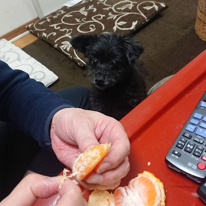 77497a1b 449c 4da4 8f8b d7e7f4b9cf62 1576924469897