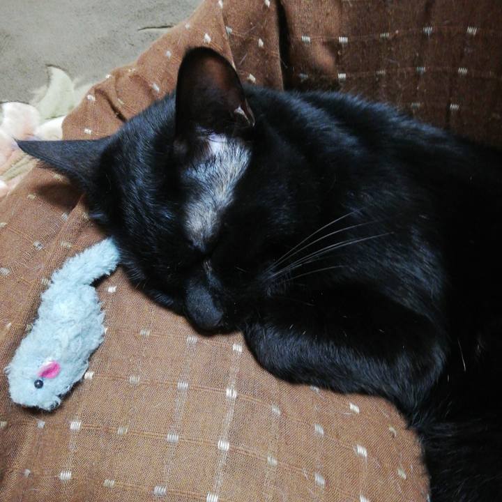 7749a815 37fc 4486 b36a 63a8fc145b18 1611356571777