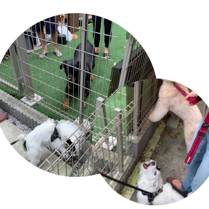 7749ed57 f23f 475c 8437 f7817baa08e6 1662679527965