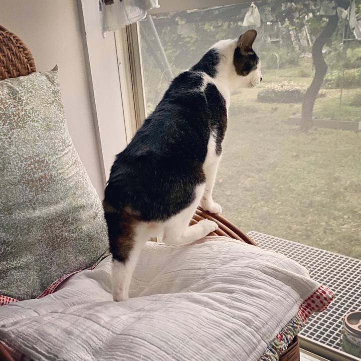 7749fd63 14a6 4b69 b266 4d20e46a06ea 1601629058760