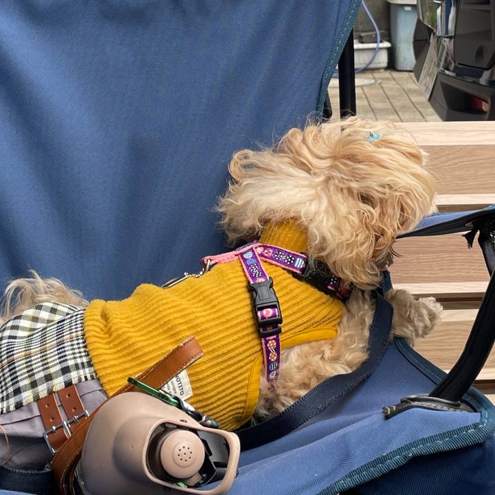 774a126c 8e18 47fd b199 cd9842570f5e 1666417171288