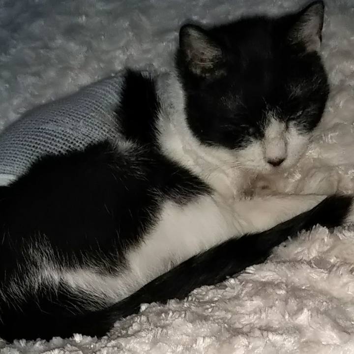 774a1401 82fa 429b 9c26 7b3ab9f70e85 1603589819758