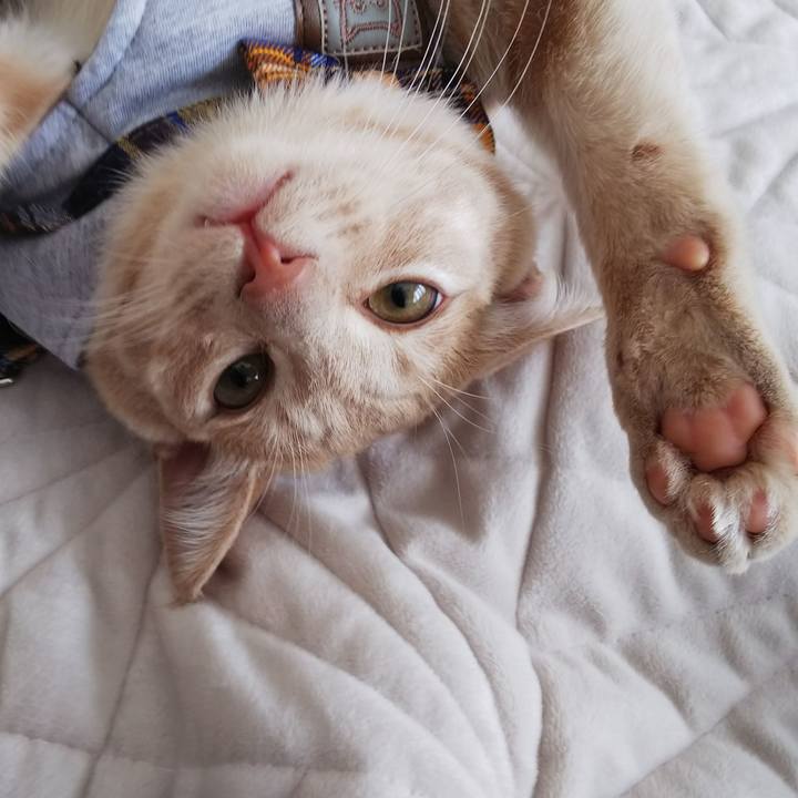 774a24dd 3475 4390 8e98 21afc74e7da7 1546146331017