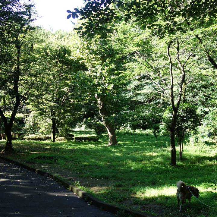 774a2a54 9d09 46f7 8cd9 a5a034616a7e 1674435795337