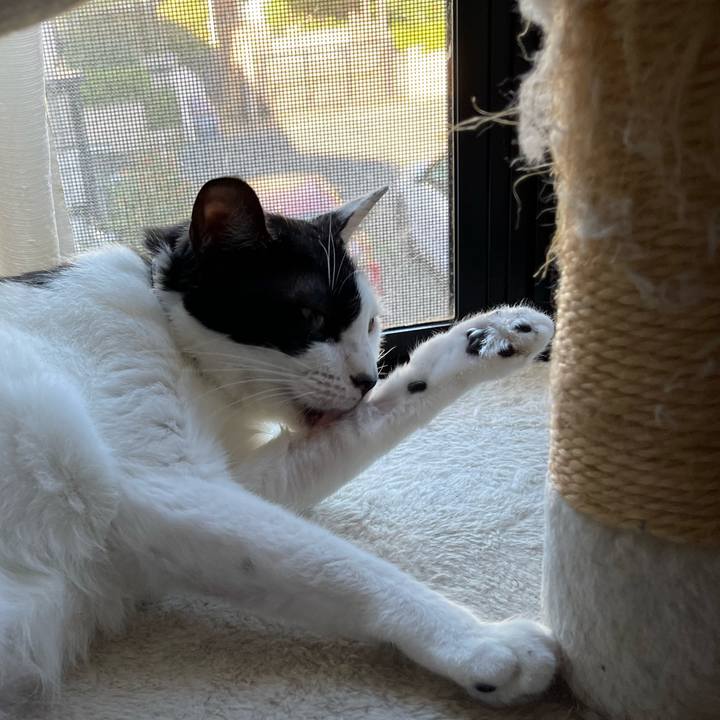 774a7dac cfe8 45f6 8176 e6e05566b1bf 1693022315524