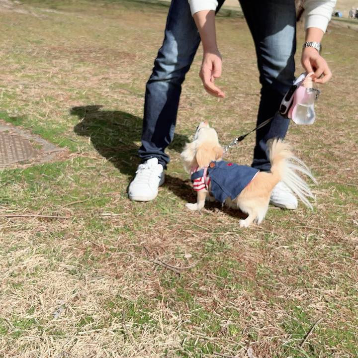 774a86c7 7536 4867 acda dcf1da52f2fa 1710580184096