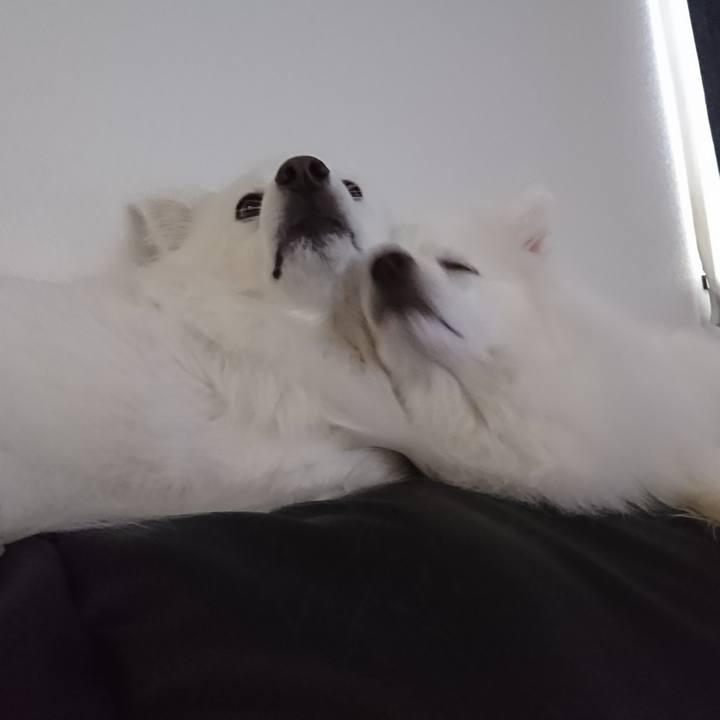 774aac85 3912 4498 a01e bb3f176e4712 1583298112328