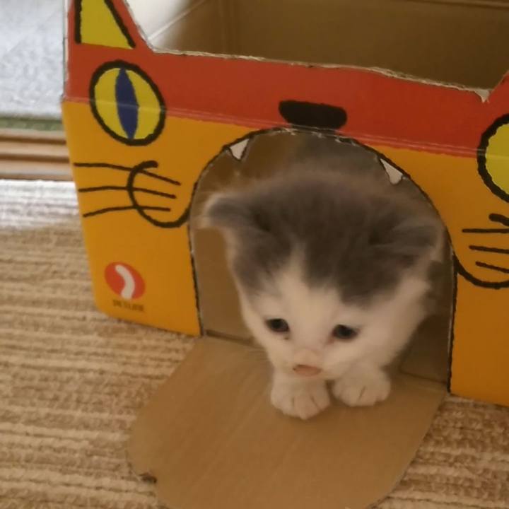 774adc0c 2fce 4f45 a2aa 4b5ffa91ad1a 1558306020375