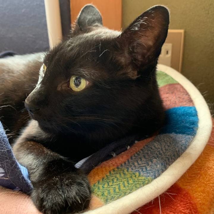 774af8ad 21a8 4546 bd39 87973d9bf0f0 1562117037530