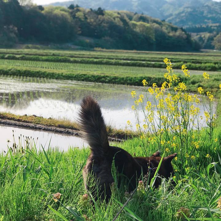 774affa5 6c07 4c72 a419 c4dec8ae7654 1525561885020