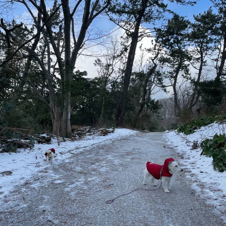 774b4403 2261 4f9c 855f a52192f75cff 1644111109552