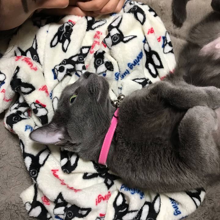 774b6171 4020 424f 9fca 5e0e670c56fa 1550066986540