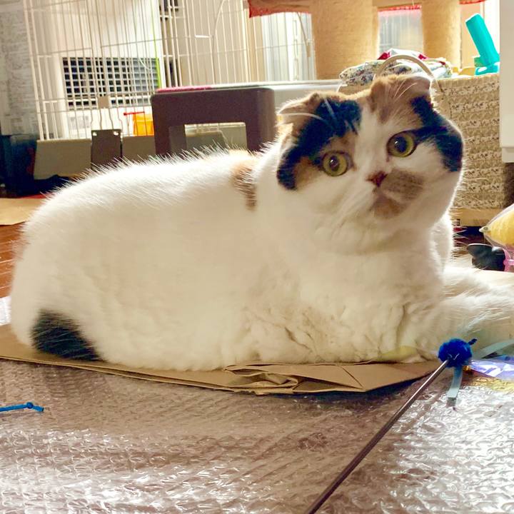 774b8a9e 0bfa 47d4 a172 c937e275032c 1562568309845