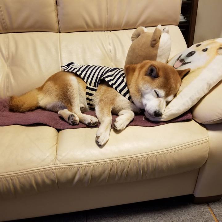 774b96a3 73d0 4c15 ba77 9591cbd108db 1643803871895