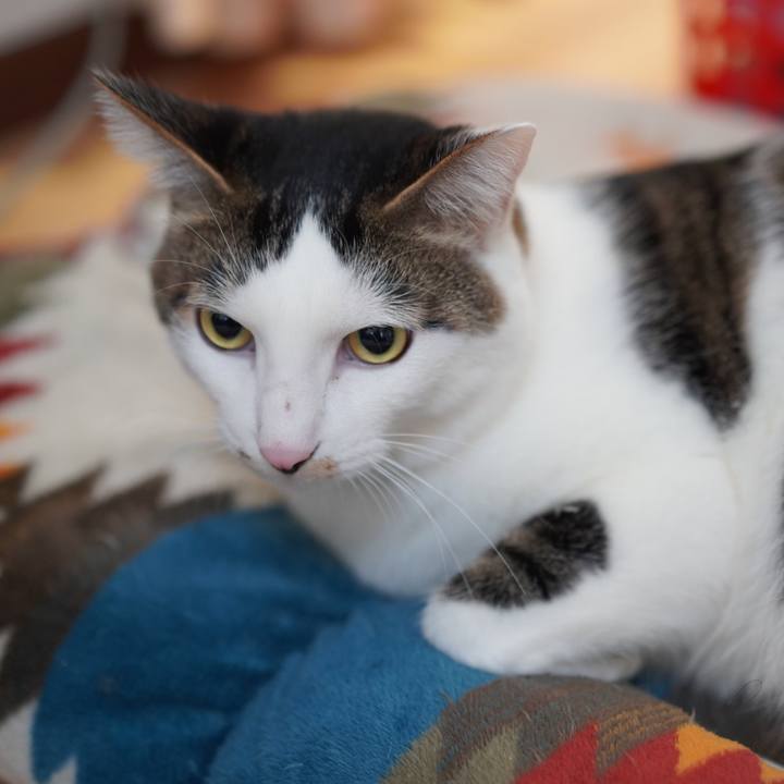 774be463 1494 4a7d af91 05877884a977 1577231744945