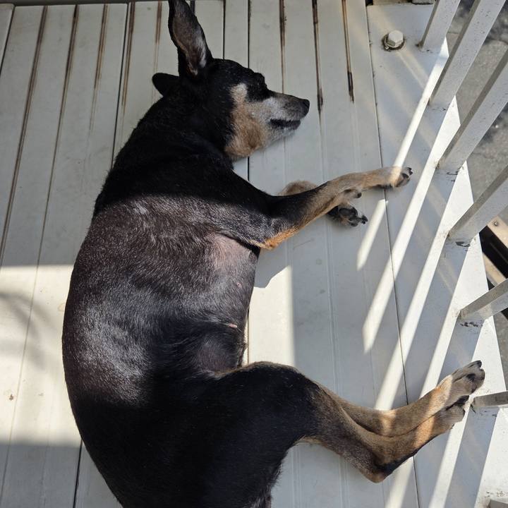 774c195c 948b 4697 a85e f94a430dbdb6 1754187484349