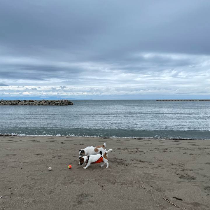 774c5948 407f 430b 89e4 a805204e7943 1661470246410