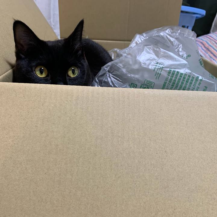 774c8644 6285 45e9 9c96 ef14b286bc33 1584145471631