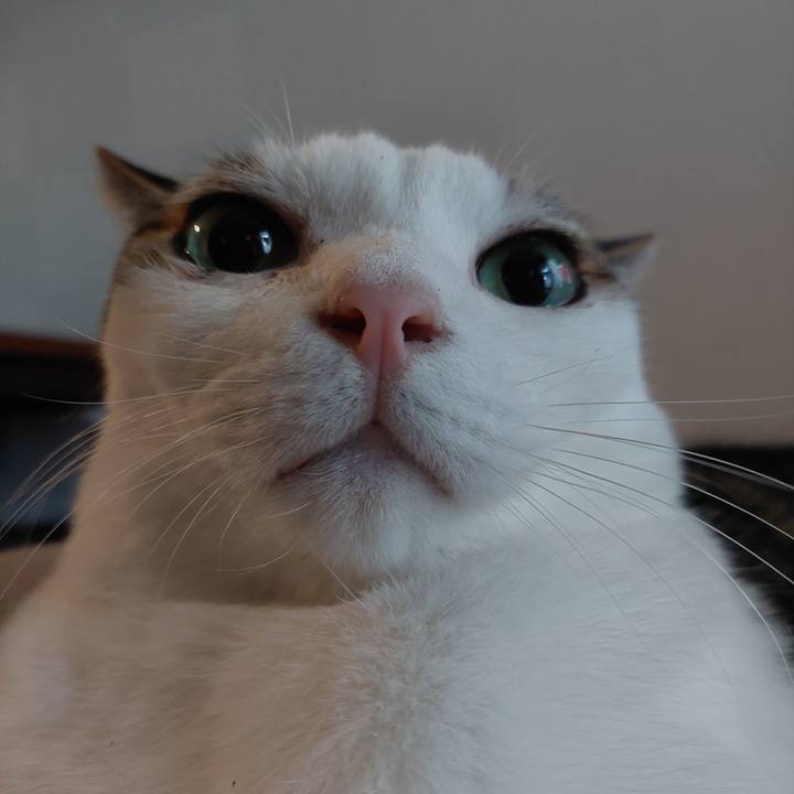 774cbe79 6d39 4d9c 9237 80f4711f8292 1645566533607