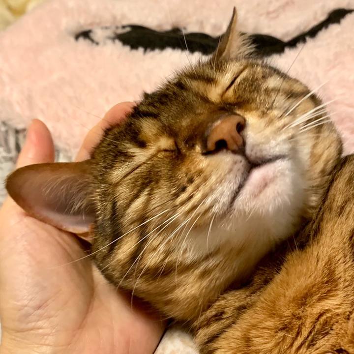 774cd041 7ab2 4c38 a85b 4ccfb1645d3a 1558745160391