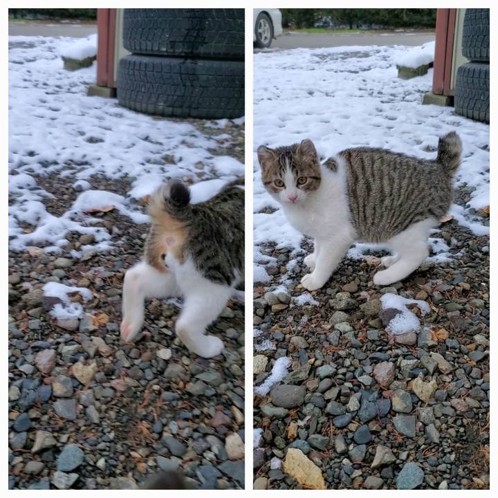 774d16a6 edd4 4fe3 be3c fd0b172bb1a9 1701097861034