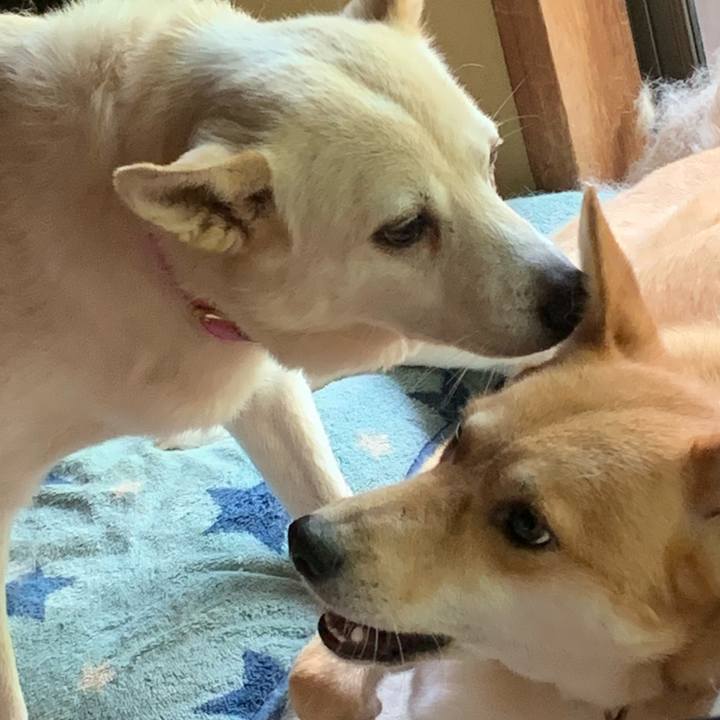 774d32c1 cf65 4881 8ef7 1a9d34d3dc4d 1594531751258