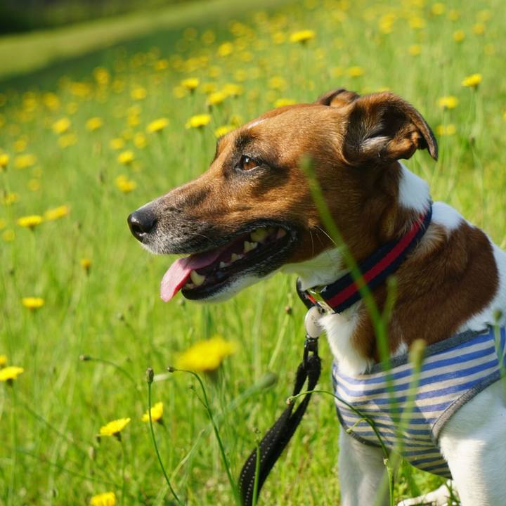 774d3b00 5f97 421f b518 f3a04e9374c7 1526596606509