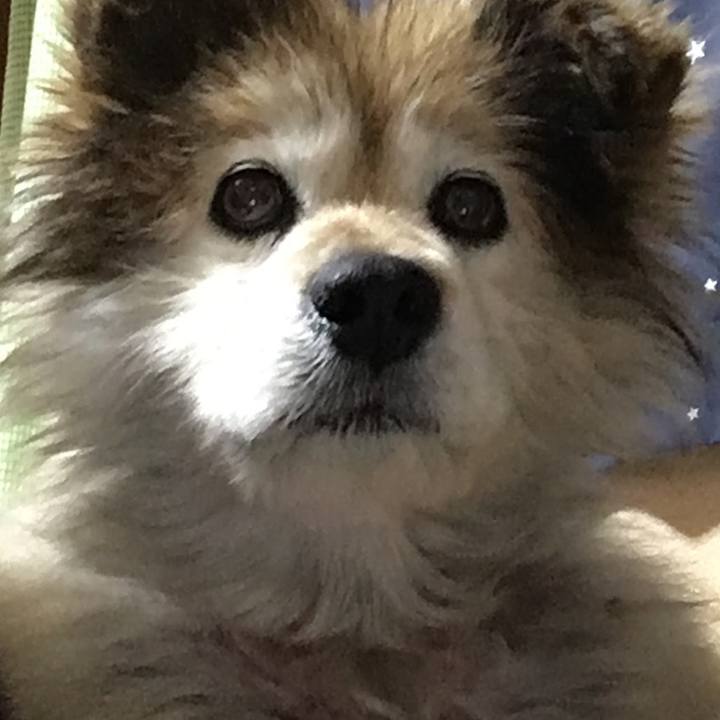 774d657d 092c 4f33 8b86 c4c7c8dafeba 1618456111408