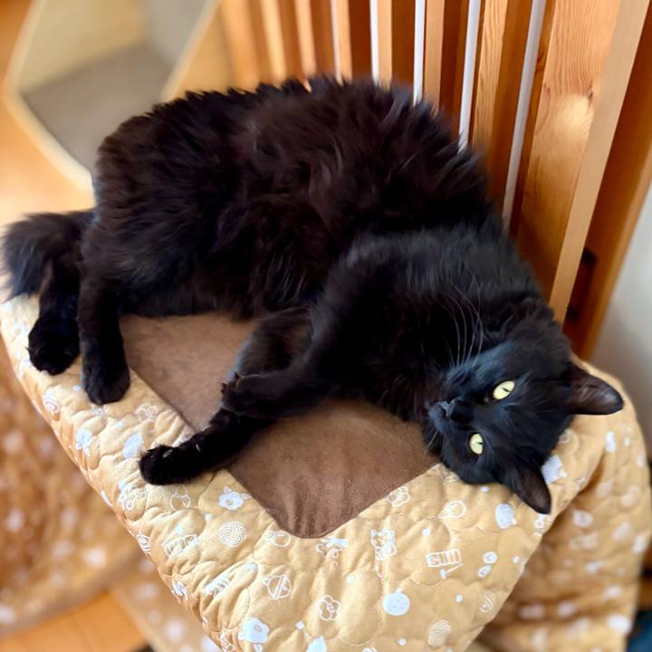 774d750e 84ce 4ffc b99f 9c08104c3477 1773314178869