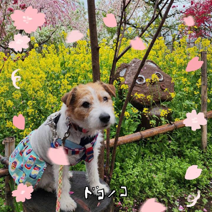 774d7896 b402 48c2 8af6 55071e7ba566 1744551899952