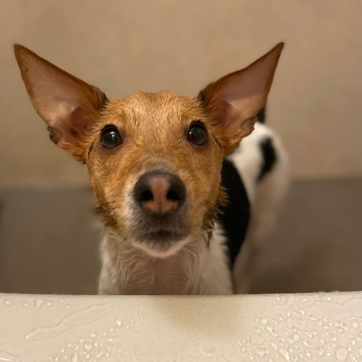 774d801d 81a7 47fc a181 6ebf905d7338 1771644022578