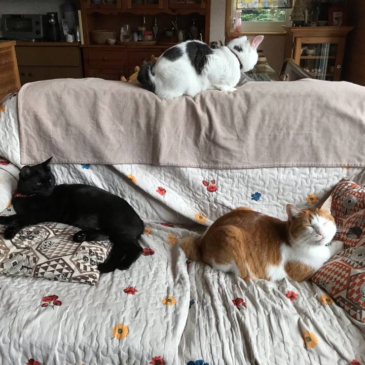 774d9607 64b6 4b83 be82 e0f8eb215f7e 1601079046457