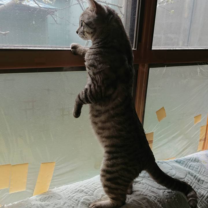 774d9d76 6ed5 4cbd b7df 2d86586d1391 1526604851068