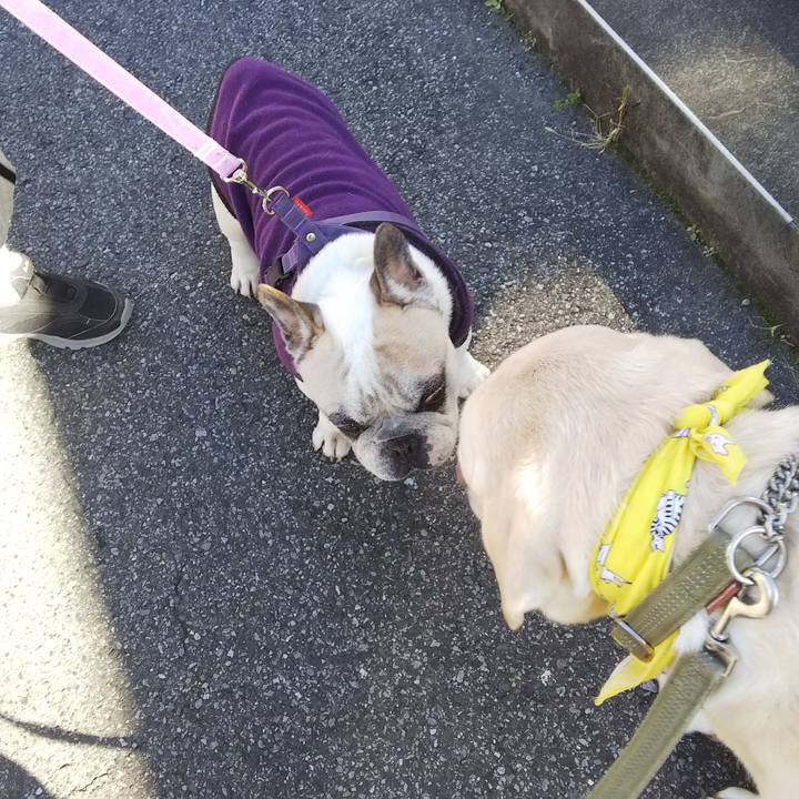 774e259a 0fc0 4718 8091 b1bcde053334 1580608171173