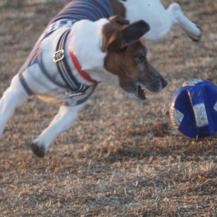 774ebc45 036e 4150 ae06 c16bac5031d7 1614727022152