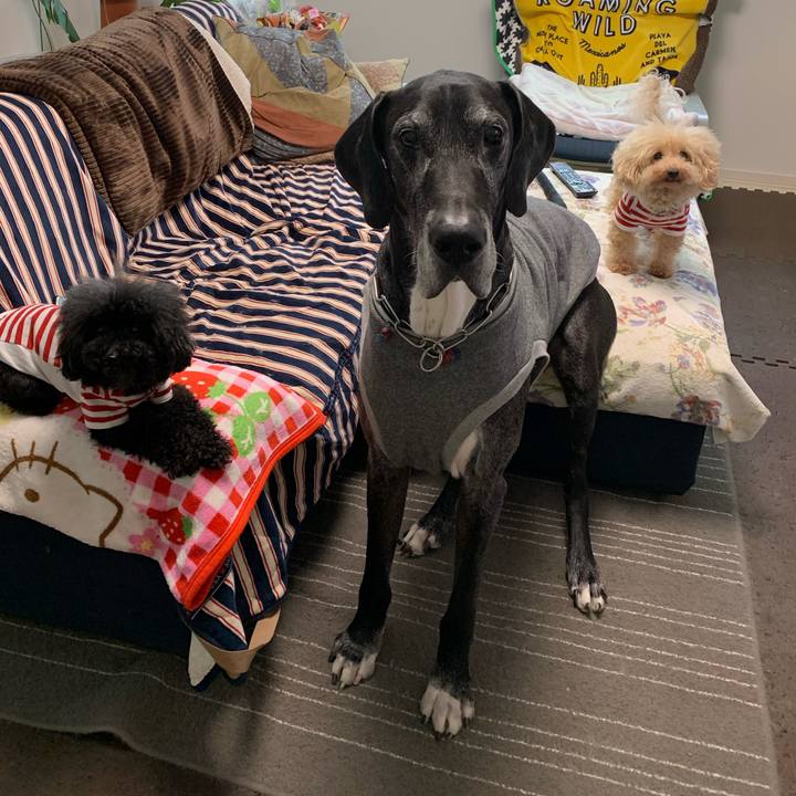 774ec745 5466 4df3 a732 0fc1a19b975a 1587508454633