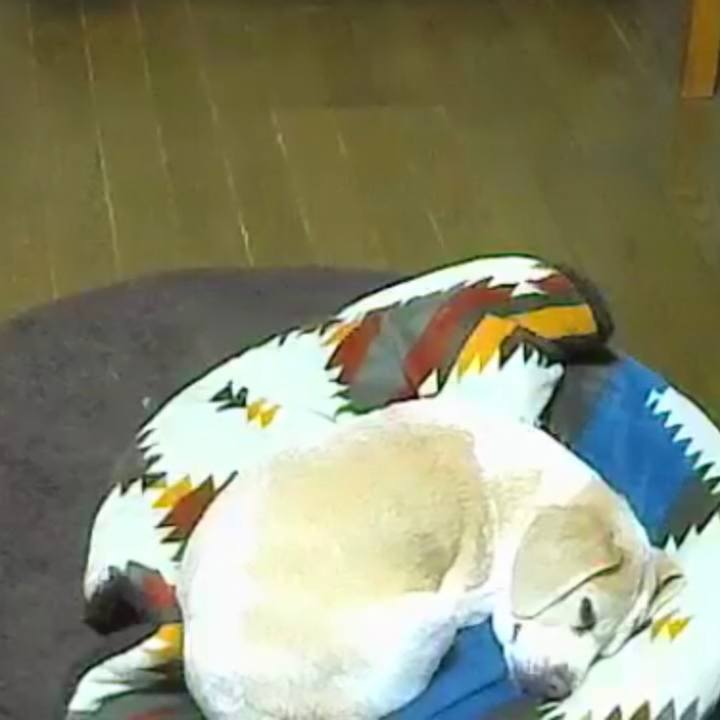 774eed6e b5d7 4676 8bae fda81b3a63c2 1543644446619