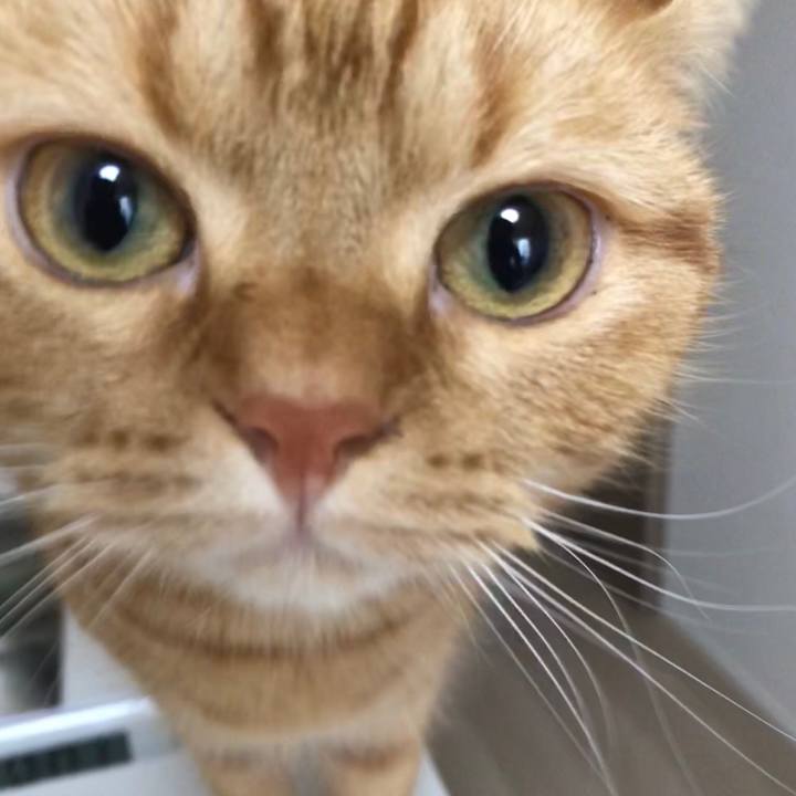 774f3219 895d 4e06 99d1 269746d24377 1516230479852