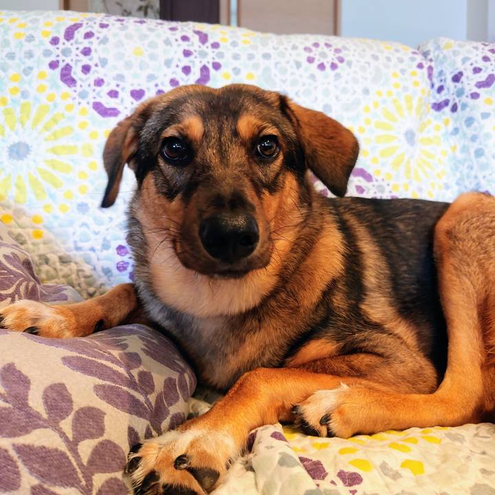 774f526a f3de 485a 9374 56a42670d3b0 1692421779614