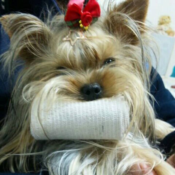 774f6689 4b6d 4e2b ae48 6805de6ab452 1538393880569