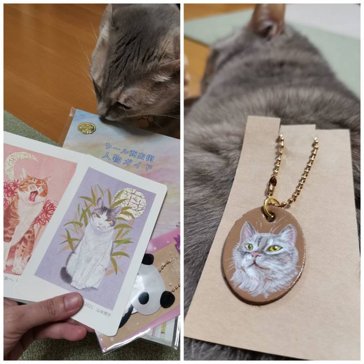 774fbc6d 1b3f 4cf4 99a1 24a13ee556e9 1614296252054