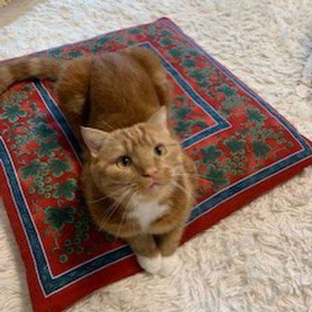 774fc89f 271f 4fd5 9d7f 881a27926347 1565276996268