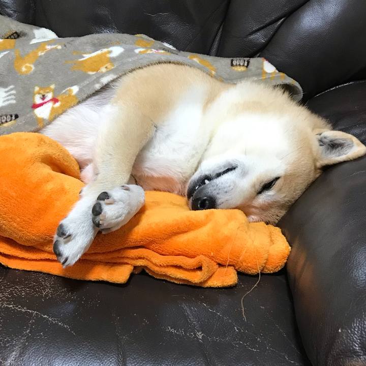 77501e36 14c0 418a 819d 65c3e27b219b 1544769483686