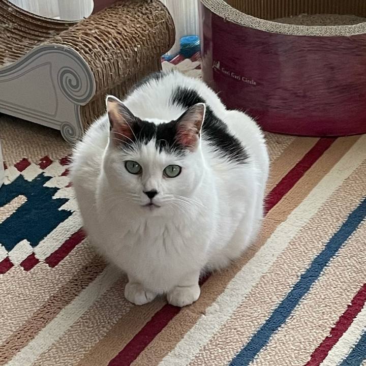 77502ab5 7866 4bc1 aeb7 346c35f482ce 1609831924582