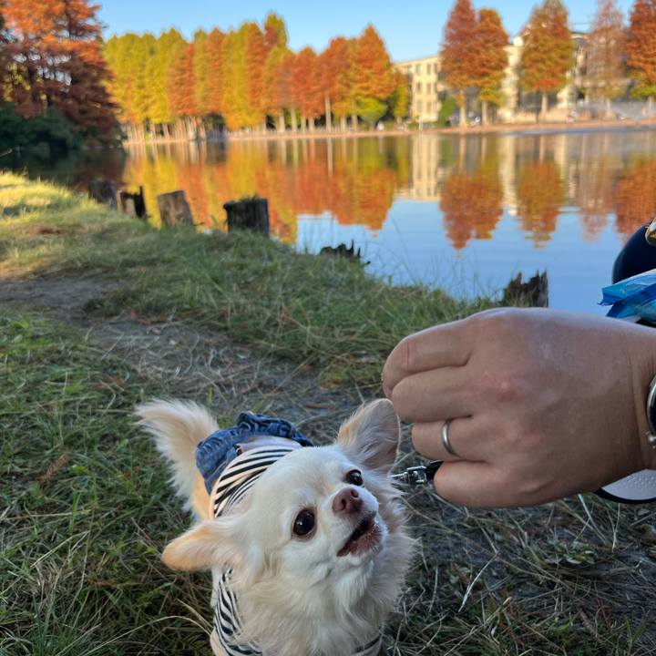 775062b2 4380 4fad afd2 a39eb5da2d96 1732328919525