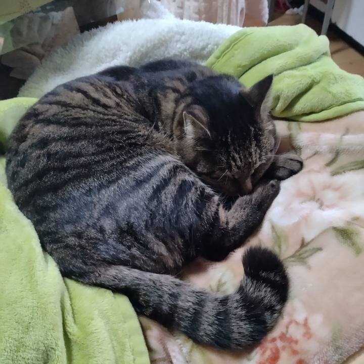 77506b67 5348 492f 9df2 62422487ec8c 1674802478397