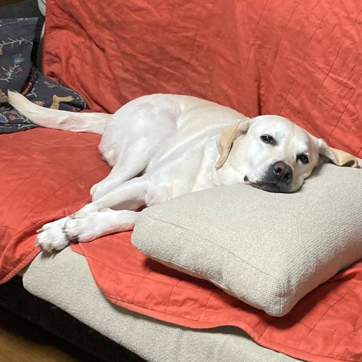 77506d67 8ce1 402b a6d7 9e16183364d9 1744897885871