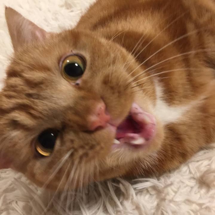 7750e460 c32a 479d 85dd 593f7e83b35e 1542195756657