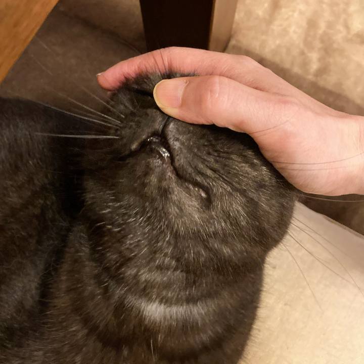 77510746 948d 40d8 b5d5 db94ebdc68b9 1625590194359