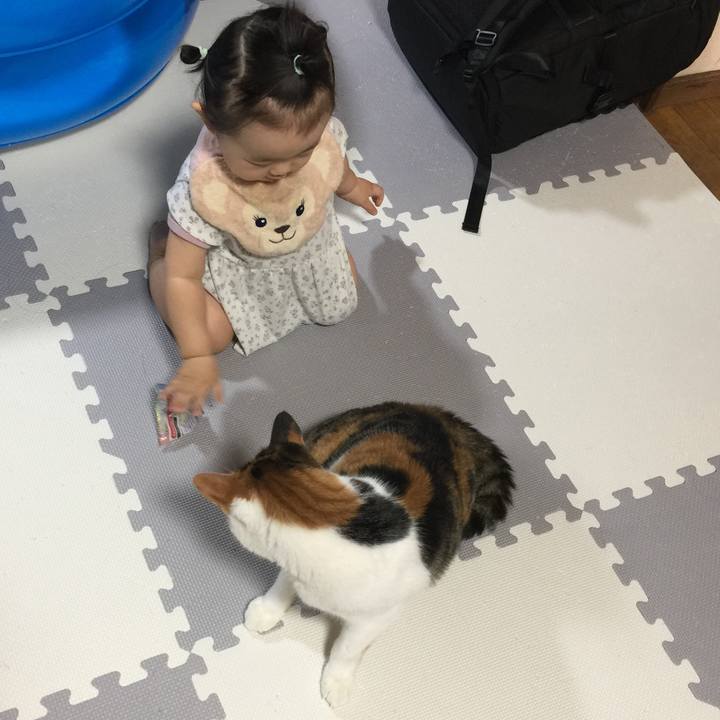 77511505 28c4 4684 9f91 29812051879b 1694751991901